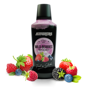 Fruit N Shake Wild Berry Puree Polot 1882 750ml